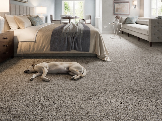 Pet Proof Carpet